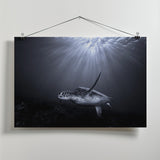 The deep Poster och Canvastavla