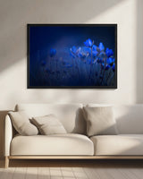 Out of the blue Poster och Canvastavla