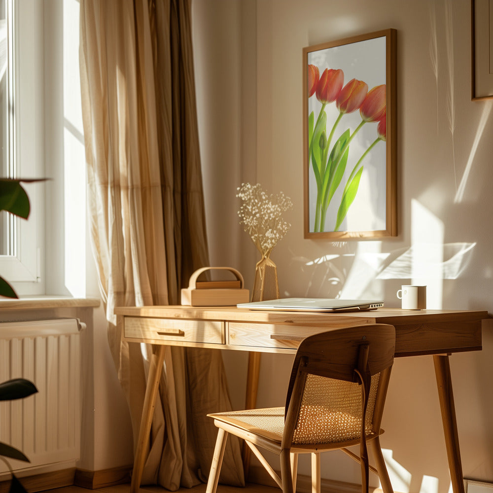 five tulips Poster och Canvastavla