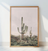 Pink Saguaro Poster och Canvastavla
