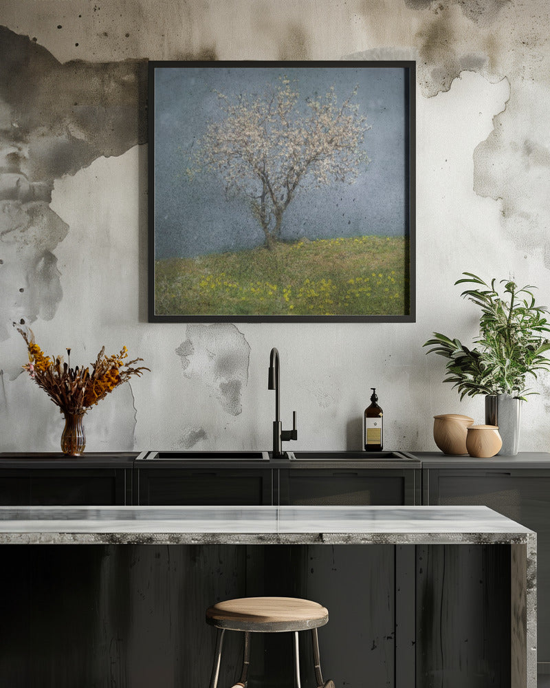 Almond tree Poster och Canvastavla