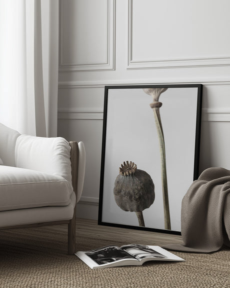 Dried_005 Poster och Canvastavla