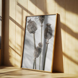 Dried_006 Poster och Canvastavla