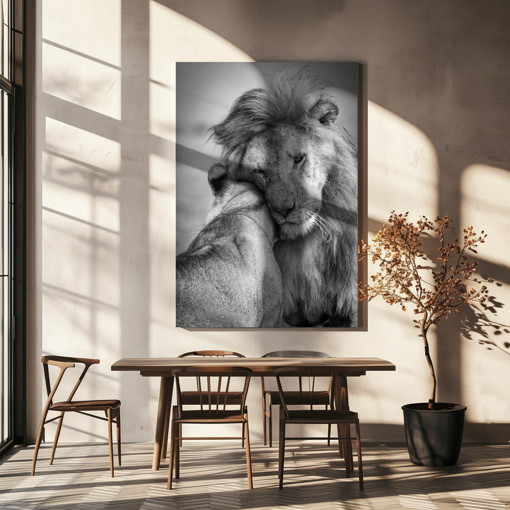 African Love! Poster och Canvastavla
