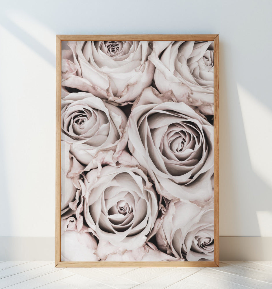 Grey Roses No 01 Poster och Canvastavla