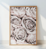 Grey Roses No 01 Poster och Canvastavla