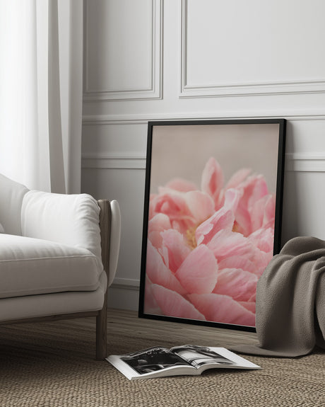 Peony 4 Poster och Canvastavla