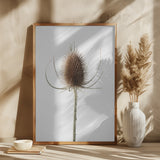 Dried_004 Poster och Canvastavla