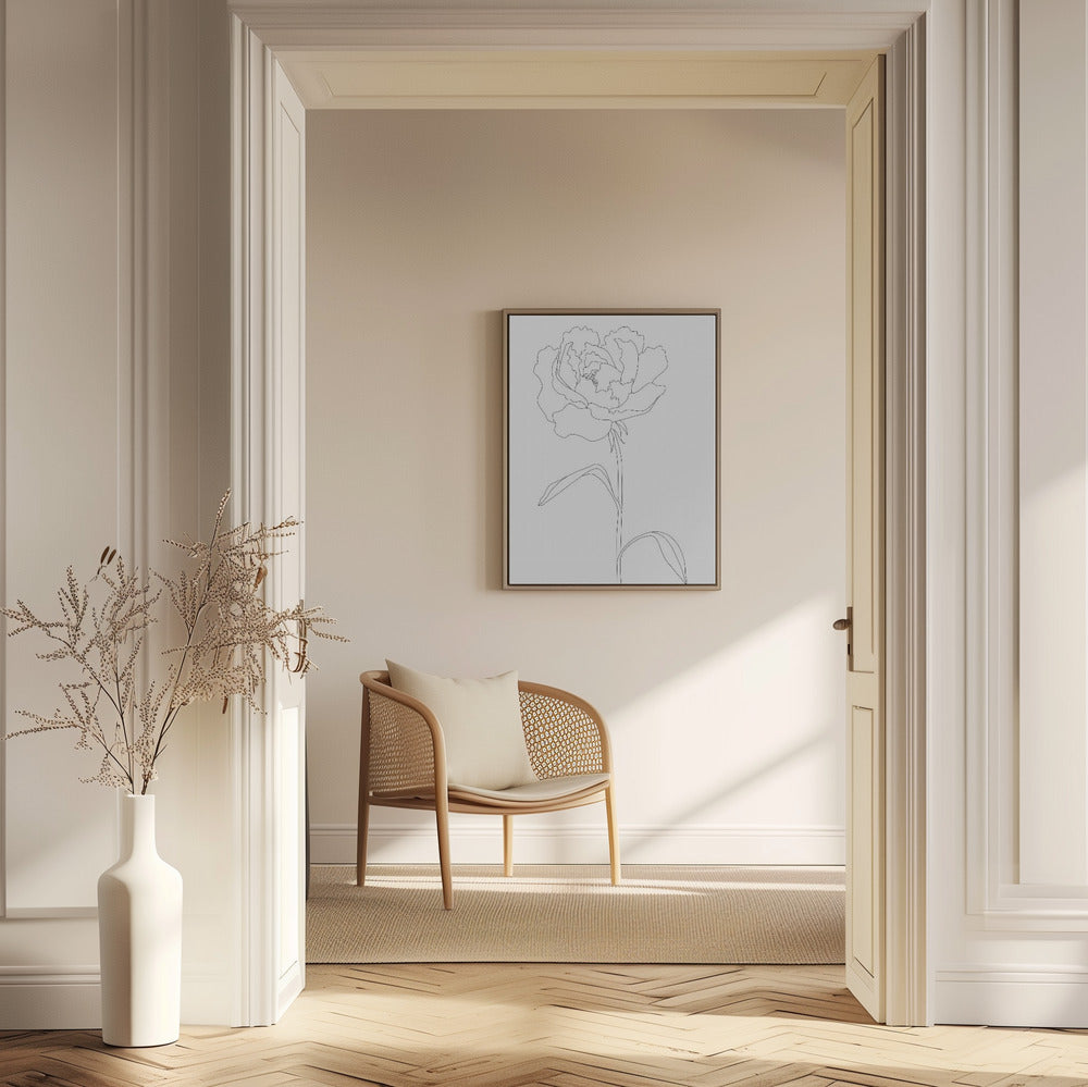 Peony Lines Poster och Canvastavla