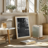 Freedom  to  Express Poster och Canvastavla