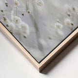 Babys Breath Poster och Canvastavla