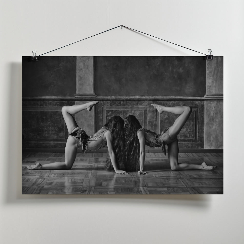 Twins Poster och Canvastavla