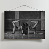 Twins Poster och Canvastavla