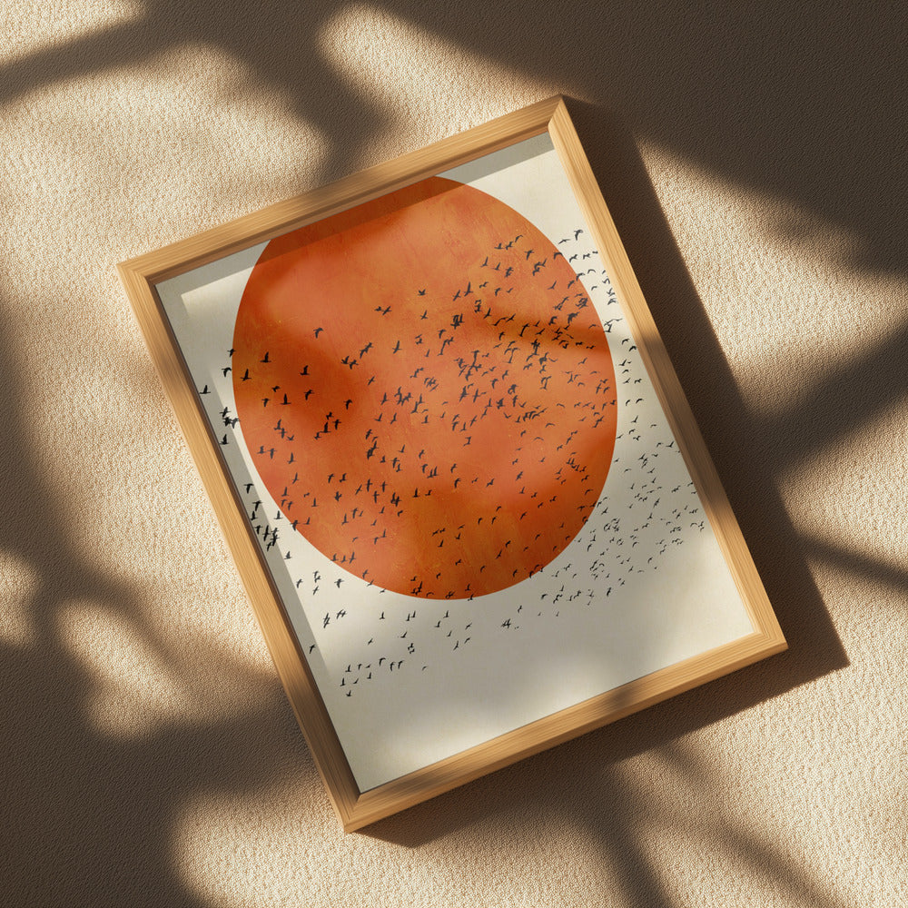 Birds In the Sun Poster och Canvastavla