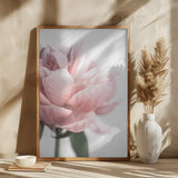 Peony 3 Poster och Canvastavla