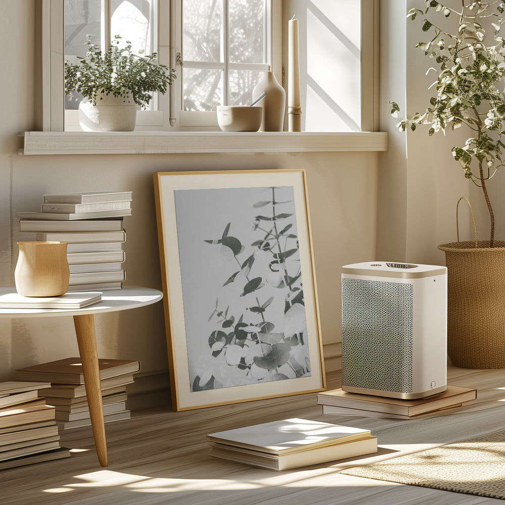 Eucalyptus Creative 10 Poster och Canvastavla