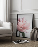 Peony 3 Poster och Canvastavla