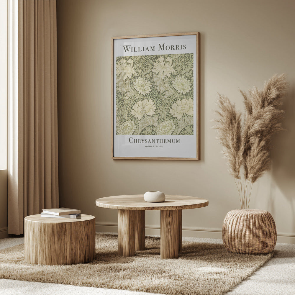 Chrysanthemum Poster och Canvastavla