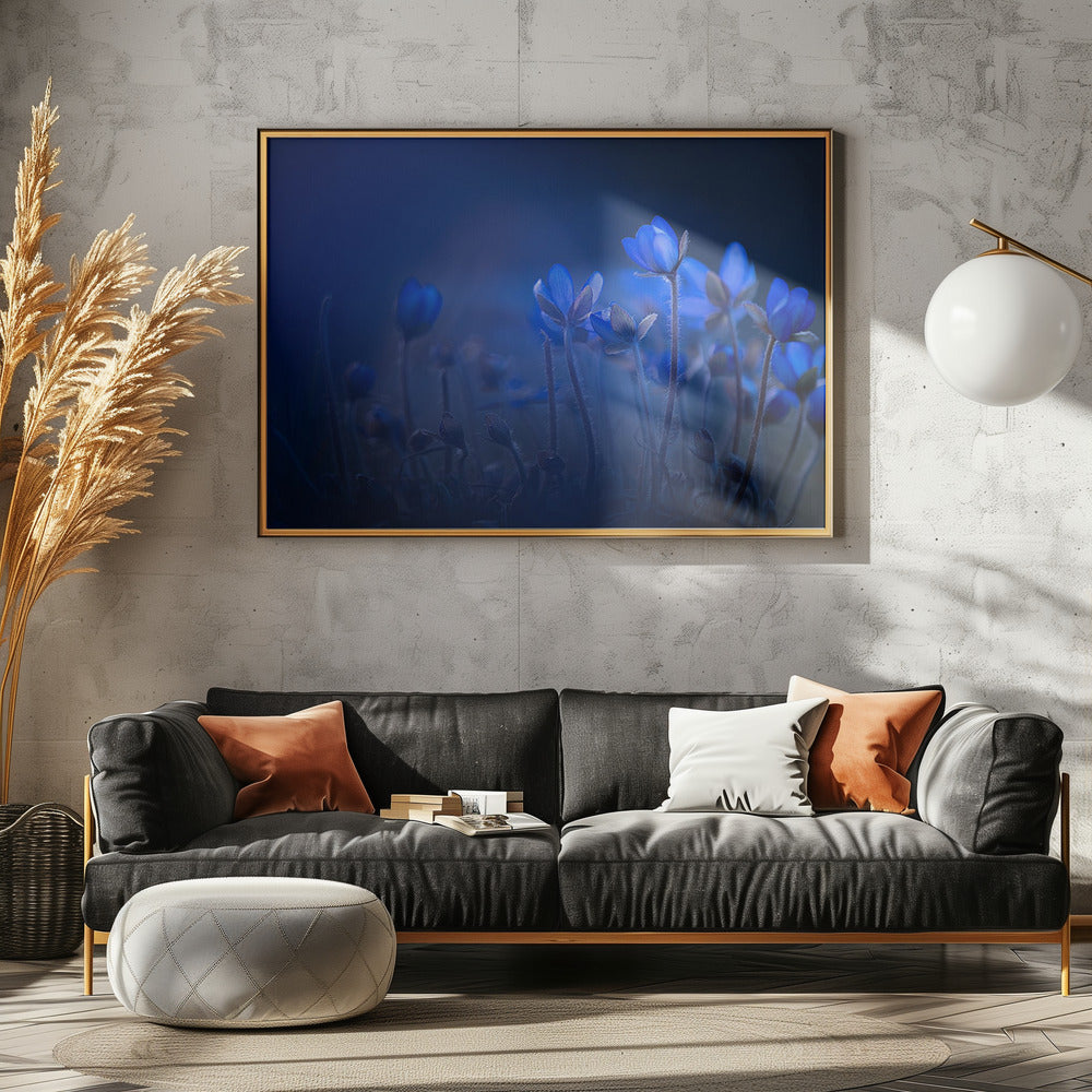 Out of the blue Poster och Canvastavla