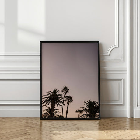 Palm Point Poster och Canvastavla