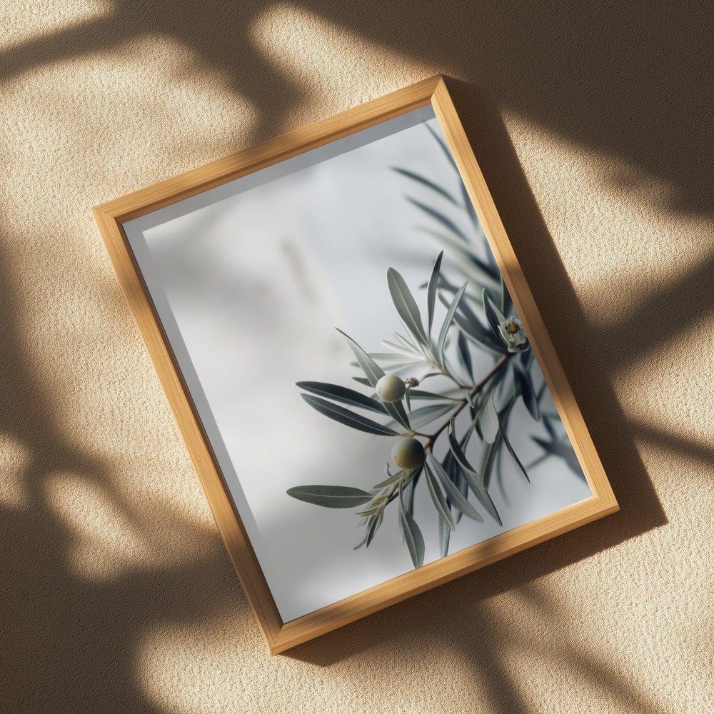 Olives Poster och Canvastavla