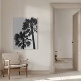 Palm Contrast Poster och Canvastavla