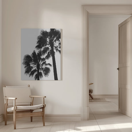 Palm Contrast Poster och Canvastavla
