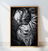 Yin and Yang Poster och Canvastavla