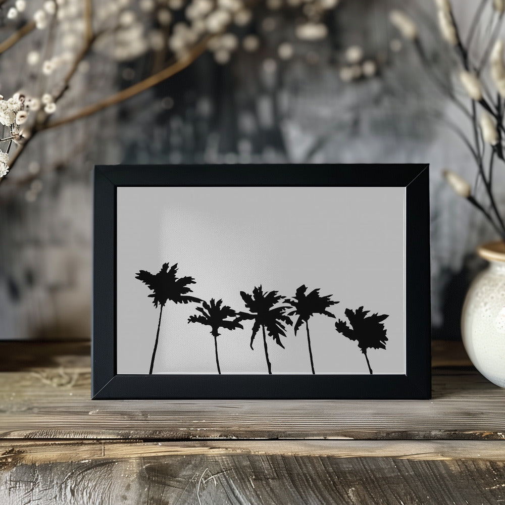 Palms White Poster och Canvastavla