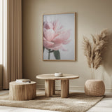 Peony 3 Poster och Canvastavla