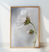 Heavenly Cosmos Poster och Canvastavla