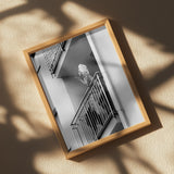 Nika Poster och Canvastavla