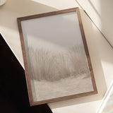 Dunes Grass Beige Poster och Canvastavla