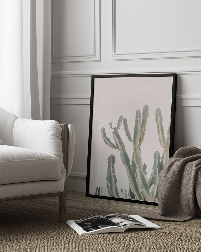 Sunrise Cactus Poster och Canvastavla