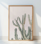 Sunrise Cactus Poster och Canvastavla