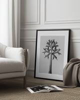 Eryngium Bourgatii Poster och Canvastavla