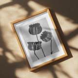 Abutilon (Lime Mallow Poster och Canvastavla