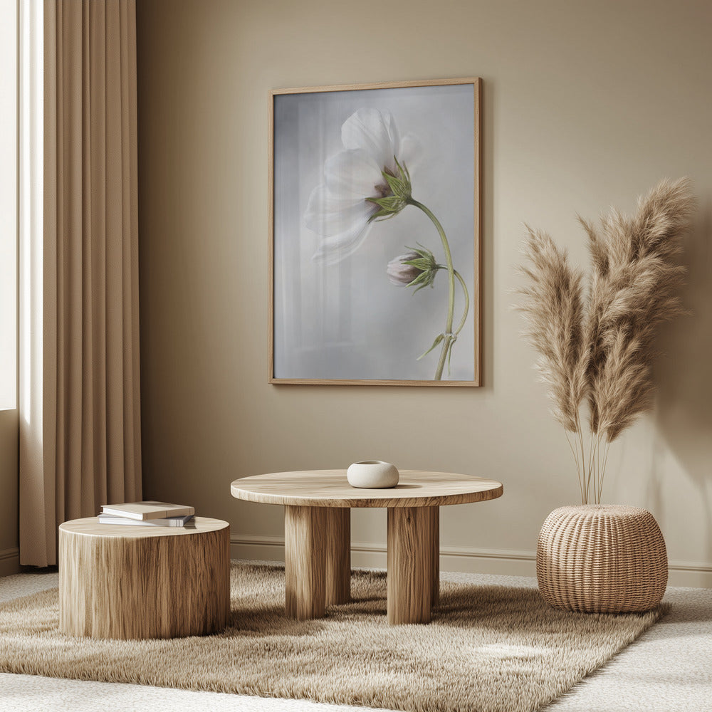 Heavenly Cosmos Poster och Canvastavla