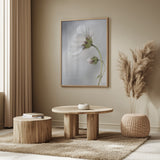 Heavenly Cosmos Poster och Canvastavla