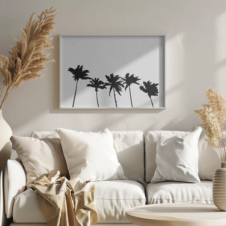 Palms White Poster och Canvastavla