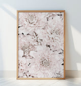 Chrysanthemum No 07 Poster och Canvastavla