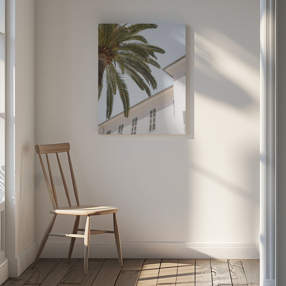 Tropical Menton Poster och Canvastavla