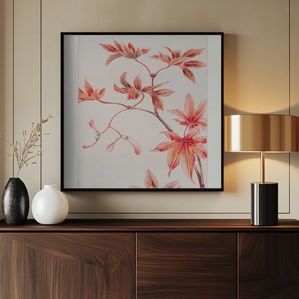 Branch of Momiji Maple Tree With Leaves and Seeds During 1870–1880 Poster och Canvastavla