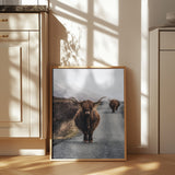 Cow Poster och Canvastavla