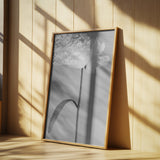 Peony 14 Poster och Canvastavla