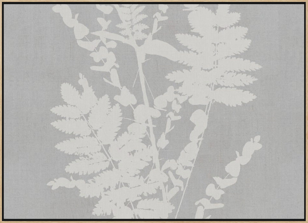 Botanical Illustration 5 Poster och Canvastavla