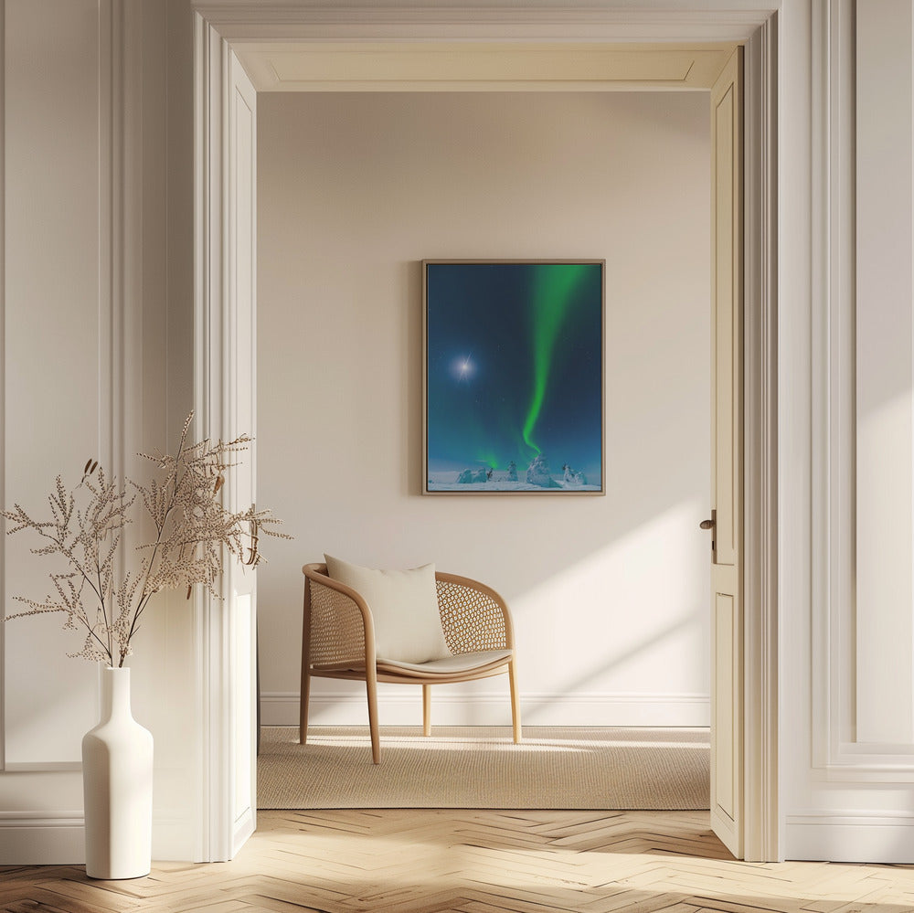 Moon light Poster och Canvastavla