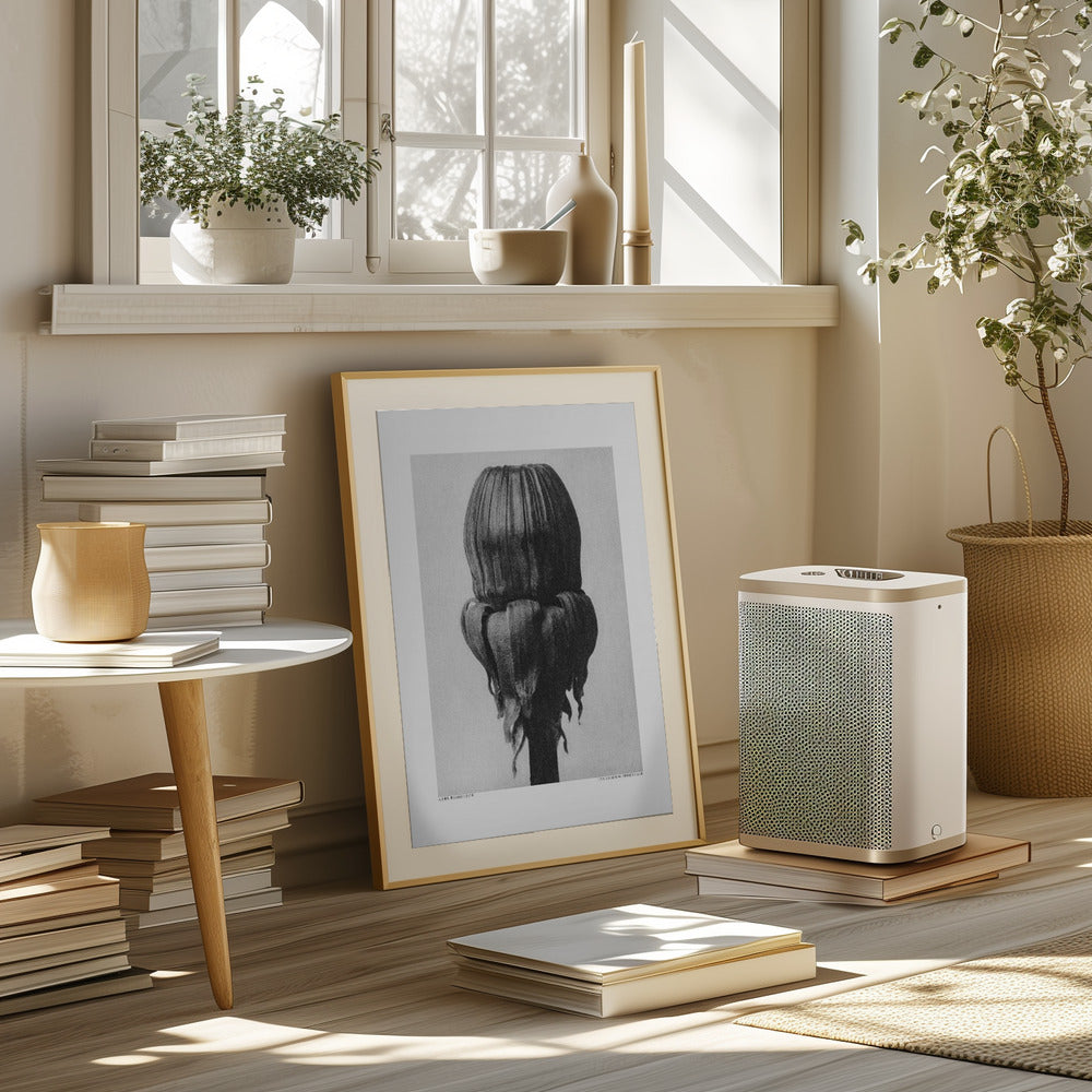 Taraxacum Officinale Poster och Canvastavla