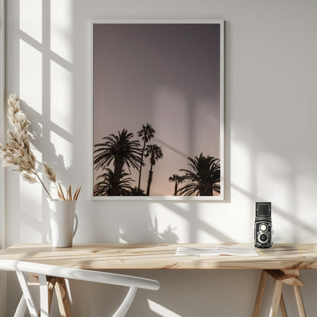 Palm Point Poster och Canvastavla