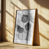 Abutilon (Lime Mallow Poster och Canvastavla